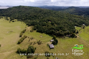 450 HA NO RS.00_02_51_00.Quadro010_539fcf4259a2a8e7516c598b533cd1e3be98a3ec.jpg